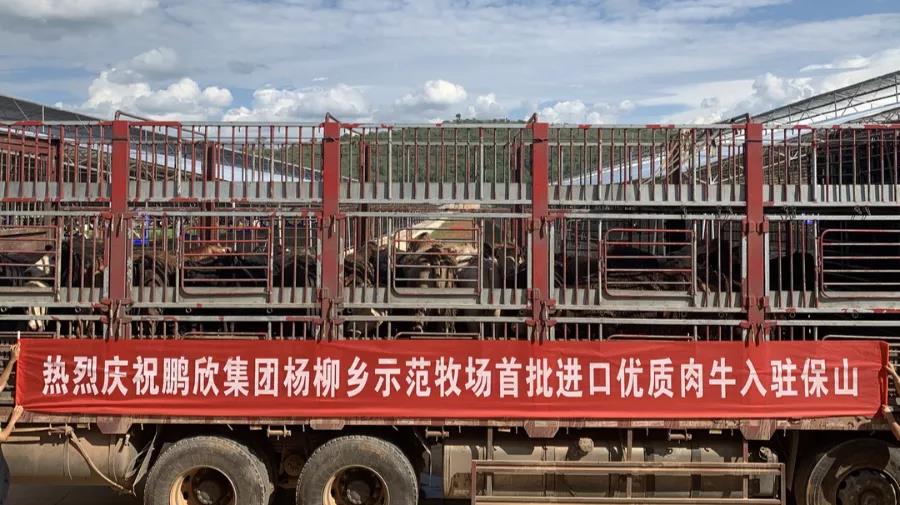 1630559253712814.jpg WeChat Image_20210902125108.jpg